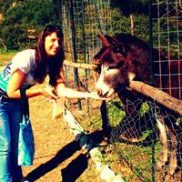 miklos-claudia-photo-19